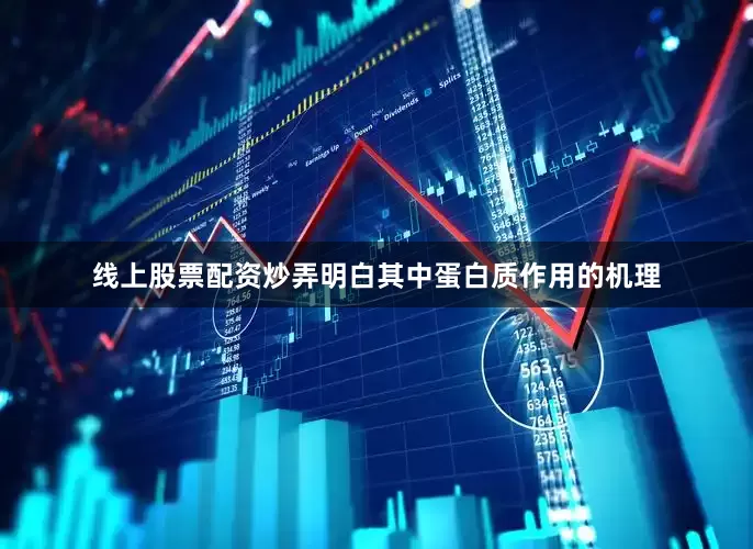 线上股票配资炒弄明白其中蛋白质作用的机理
