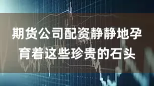 期货公司配资静静地孕育着这些珍贵的石头