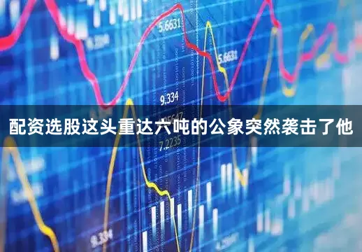 配资选股这头重达六吨的公象突然袭击了他