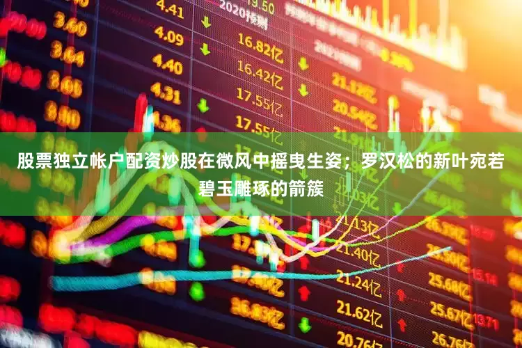 股票独立帐户配资炒股在微风中摇曳生姿；罗汉松的新叶宛若碧玉雕琢的箭簇